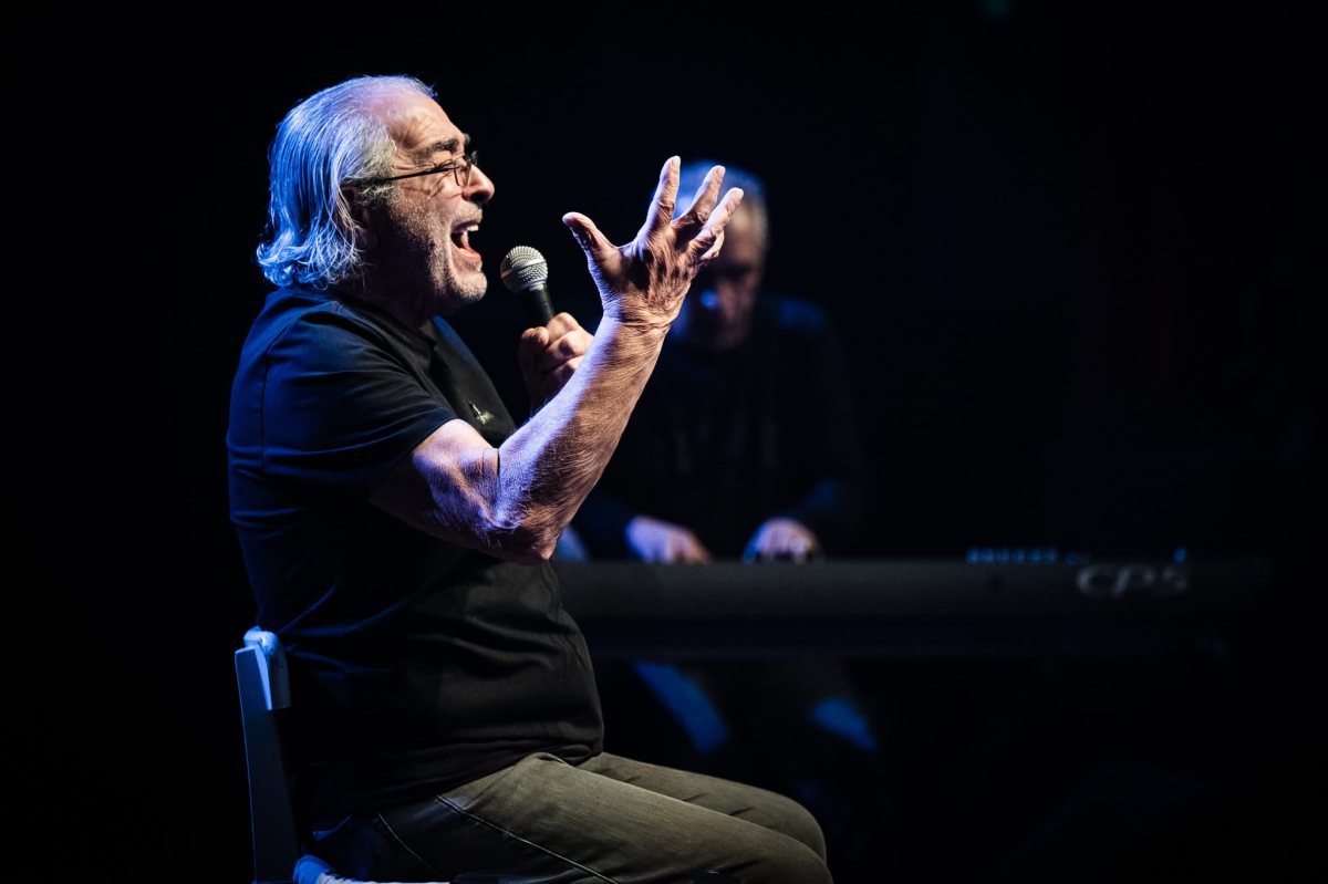 אלה מאירוביץ