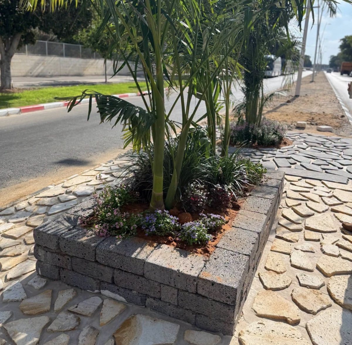 צילום: עיריית קריית גת
