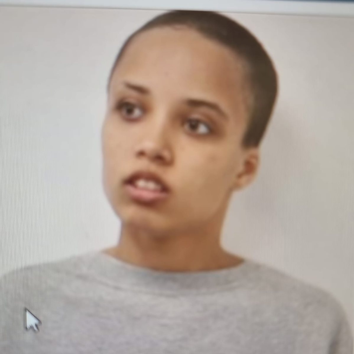 דוברות משטרה