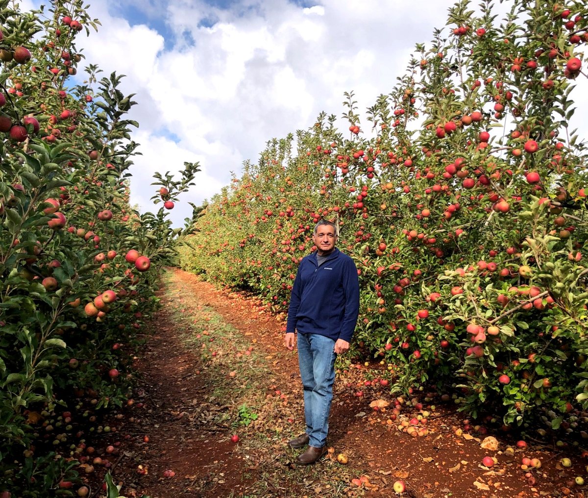 ירון בלחסן במטע תפוחים