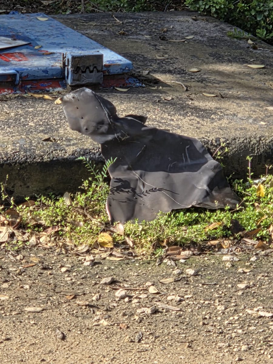 דוברות משטרה