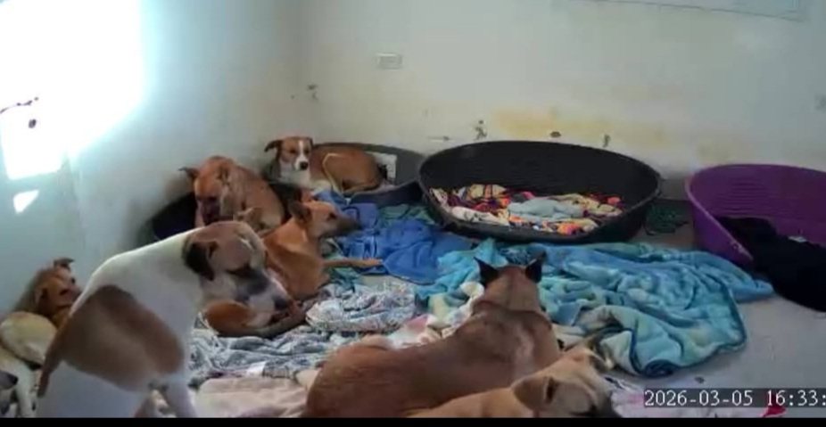  חיים של אחרים