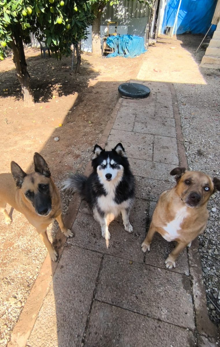  חיים של אחרים