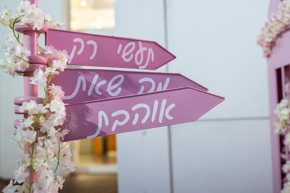 אלה מאירוביץ'