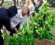 לזכרם: חורשה לזכר הנופלים הוקמה באשקלון