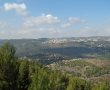 נלחמים על היער: תוכנית הבניה בבירה השנויה במחלוקת