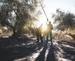 "סכנה מוחשית": הסכנה המאיימת החל מהבוקר על תושבי דרום ירושלים