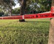 50 אלף שקל לחיסול: כתב אישום בניסיון חיסול תושב אשדוד