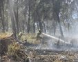  קרדיט צילום:* זאב דיקמן - תיעוד מבצעי כב"ה