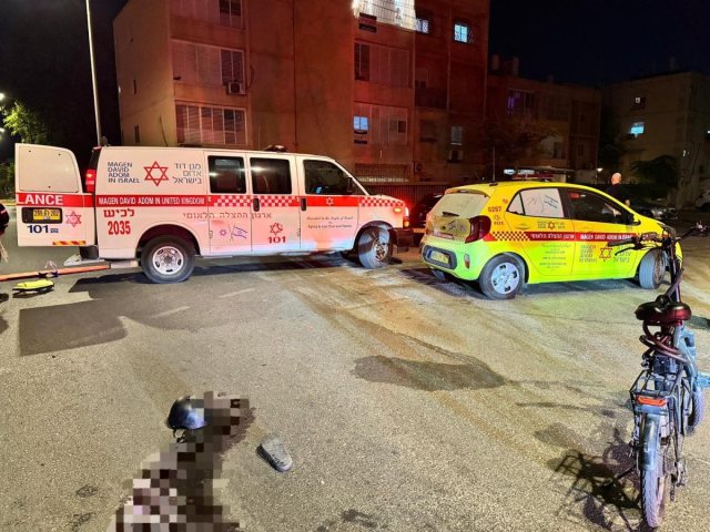 מדא