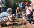 שיתוף פעולה עם קק"ל הפך את גן יבנה למודל פיתוח קהילה באמצעות יער מאכל 