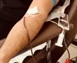 יום תורם הדם הבינלאומי: צאו לתרום דם בתחנת מד"א באשדוד