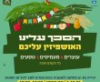 חלוקת סכך חינם לתושבי בת-ים לקראת חג הסוכות